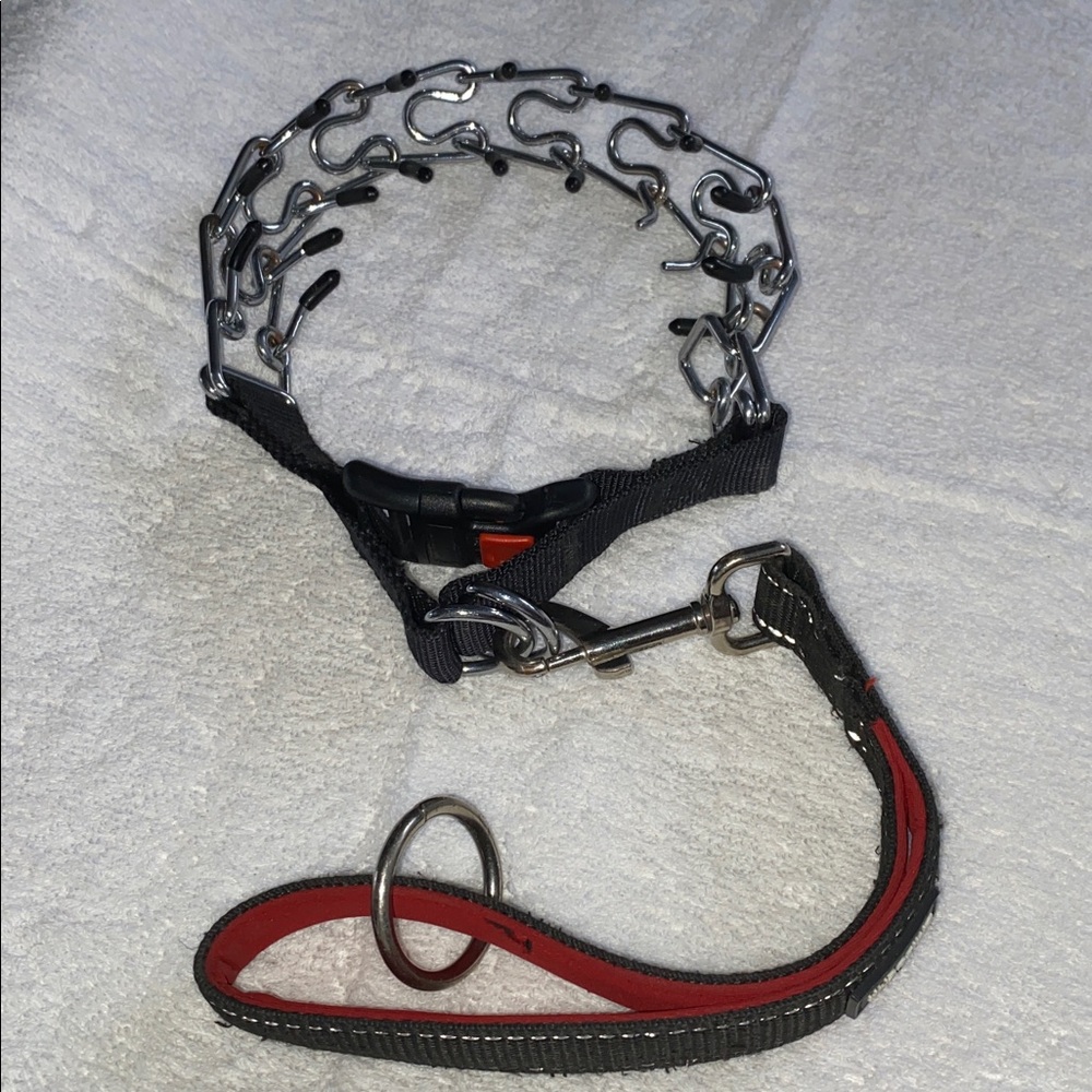 Dog Prong Collar Pinch training collar